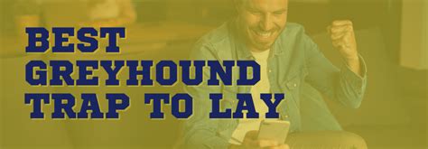 laying greyhounds strategy|Laying Greyhounds.